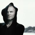 sting