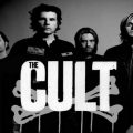 the cult