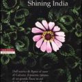 Shining India di Alka Saraogi