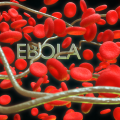 Ebola aggiornamento epidemiologico