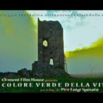 Il colore verde della vita