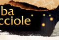 La tomba delle lucciole – banner