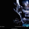 Alien Vs Predator – wallpaper (1)