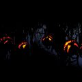 black-halloween-pumpkins-wallpaper